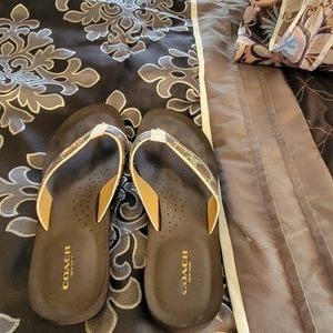 Coach flip-flops